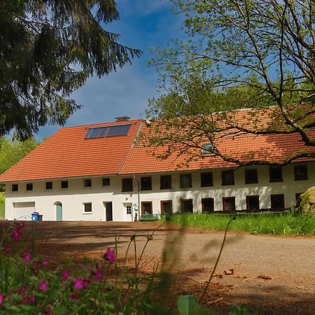 Schwarzwald Escape Pensionat Gorwihl Eksteriør billede